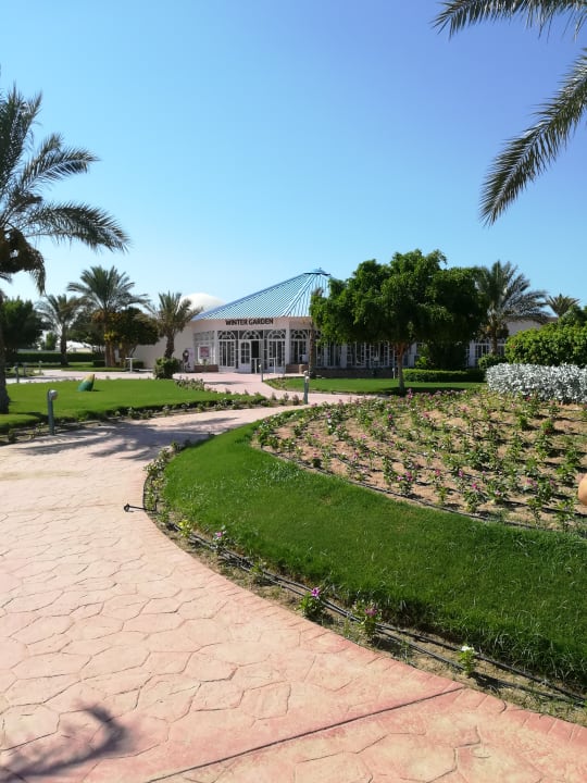 Gartenanlage Desert Rose