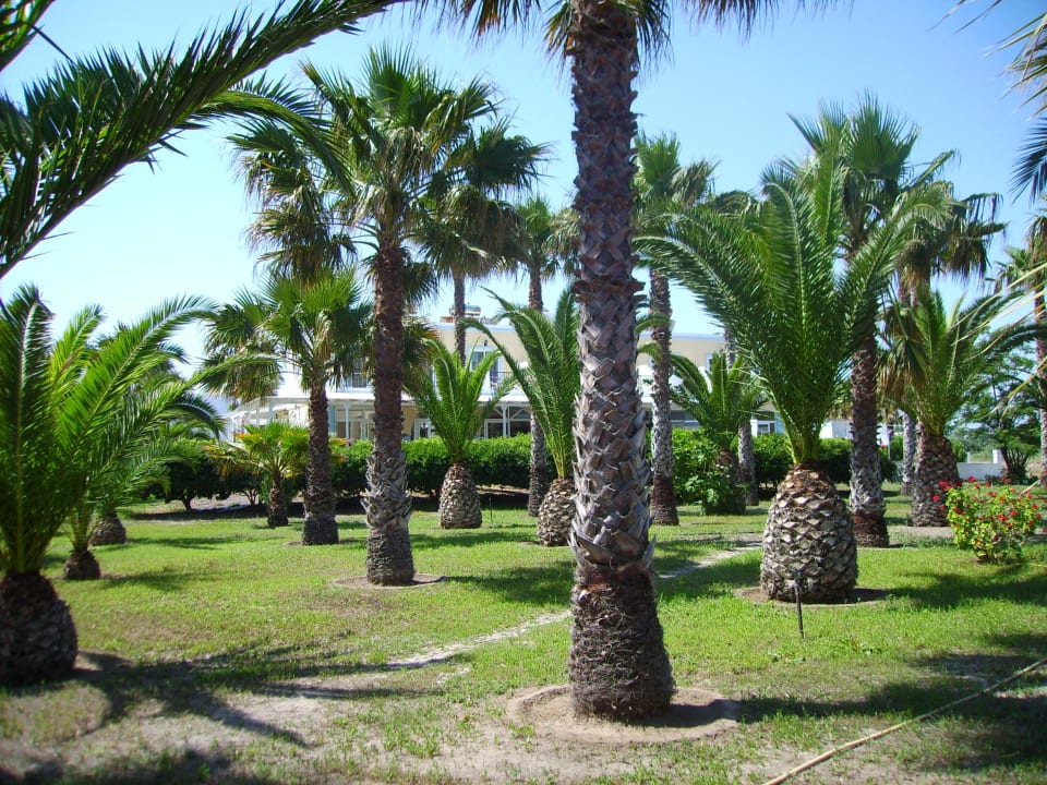 Aussenansicht Garten Hotel Hotel Cavo D'oro