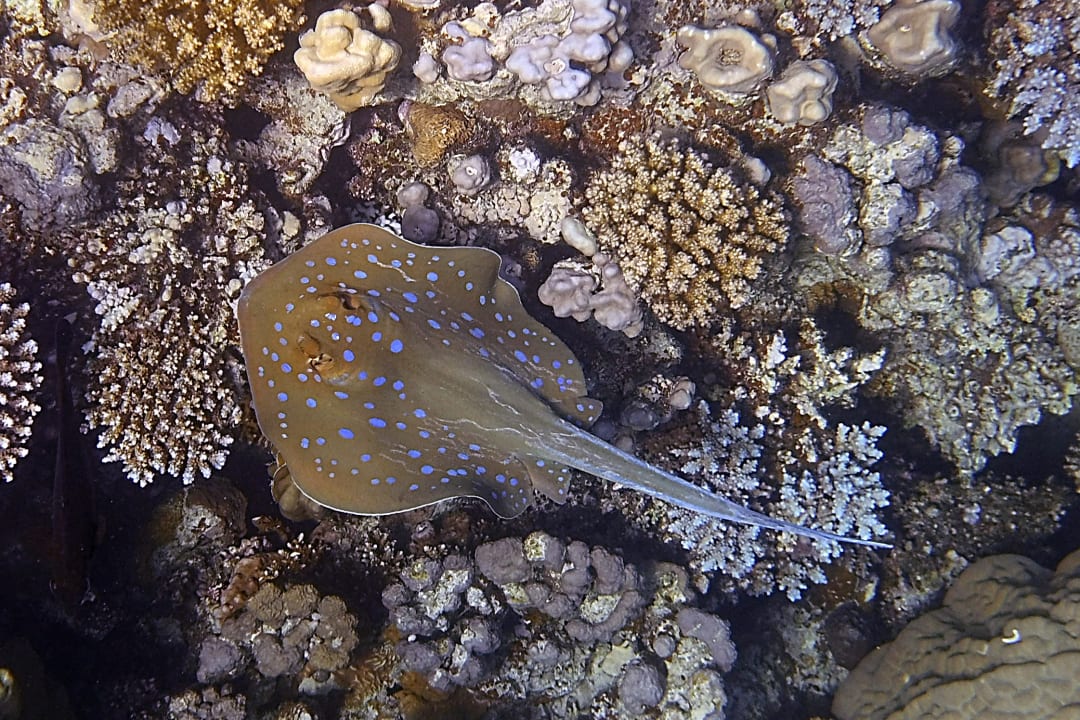 Sport & Freizeit Makadi Spa - Adults only