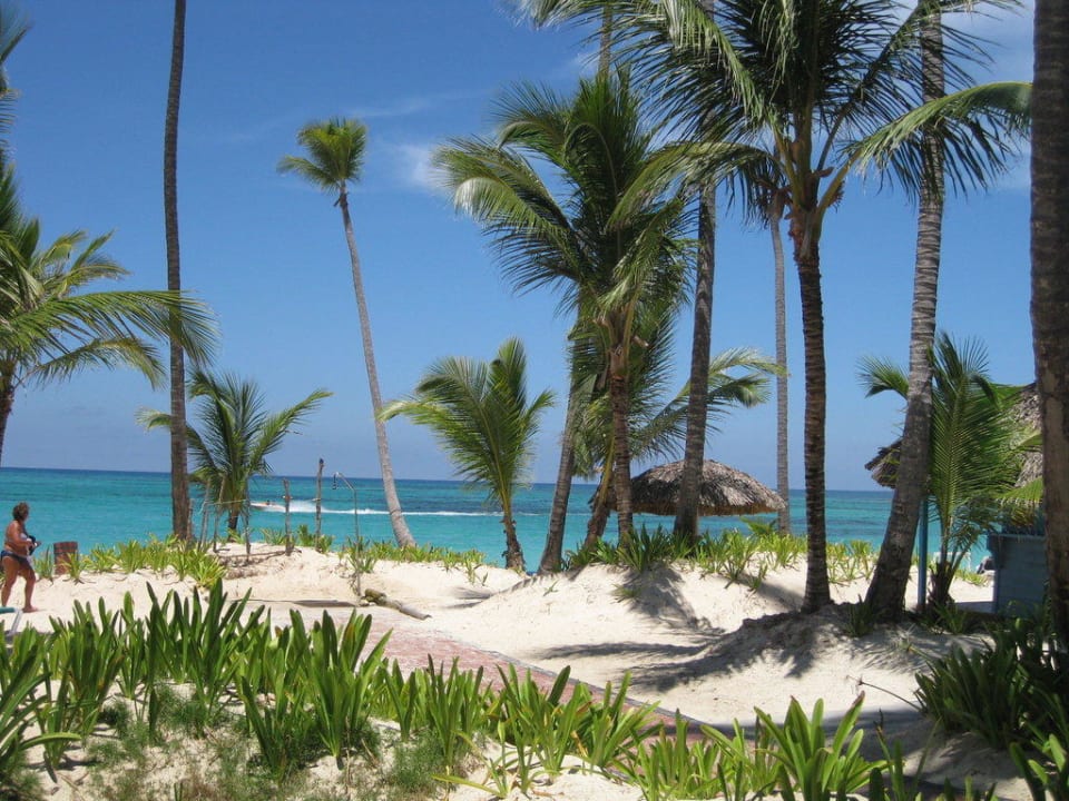 So sieht der Strand aus Hotel Grand Palladium Palace Resort, Spa & Casino