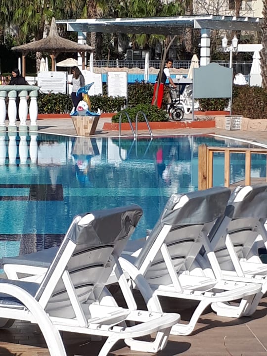 Pool Hotel Delphin Imperial