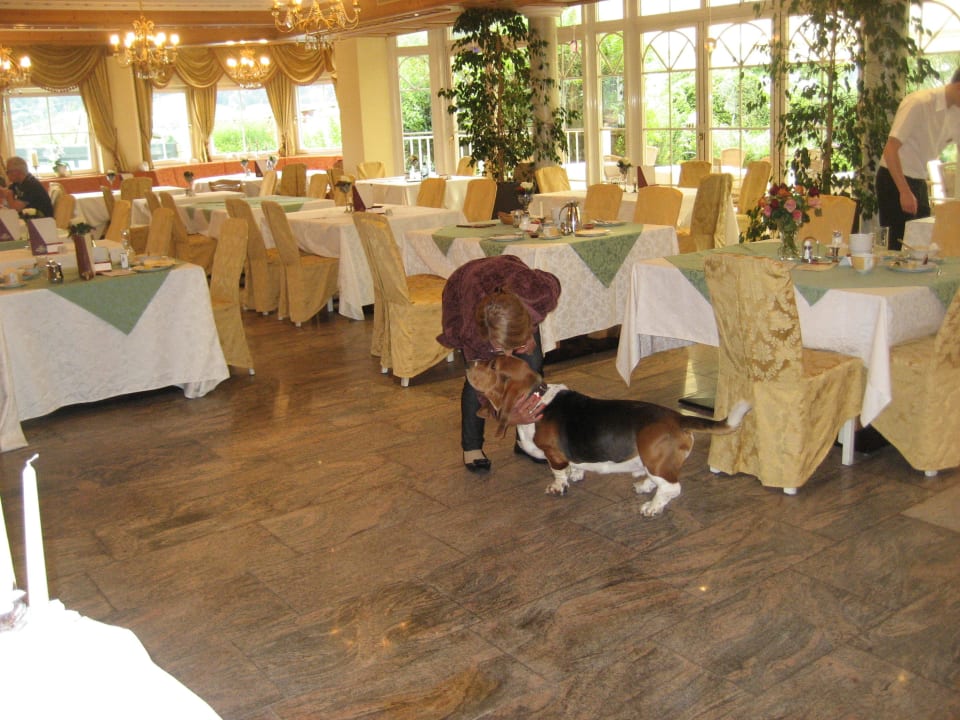 Gediegen Essen Hotel Magdalena