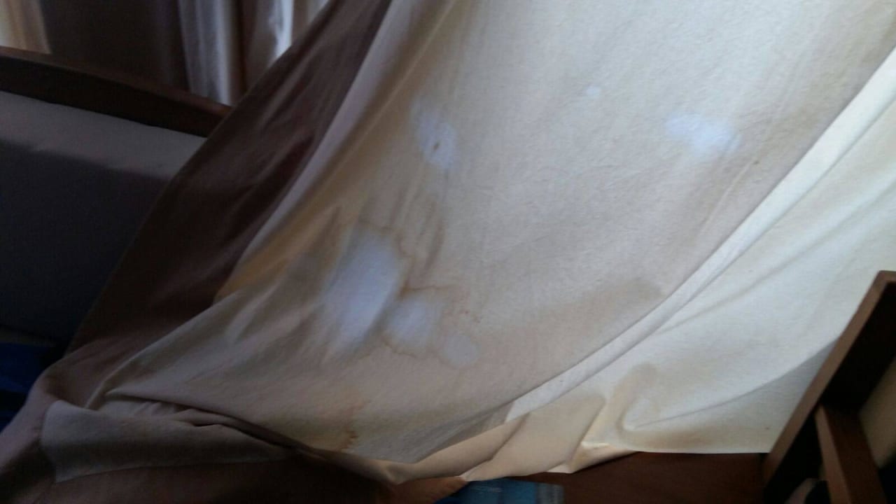 Vorhang Grecotel LUXME Dama Dama