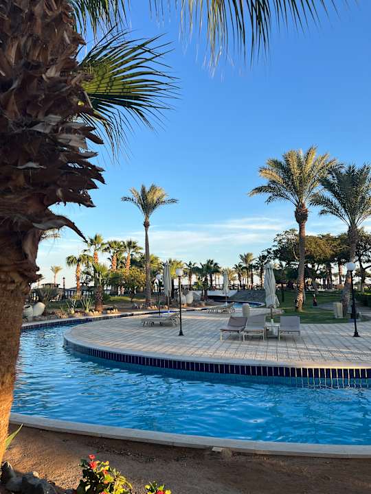 Pool Steigenberger ALDAU Beach Hotel