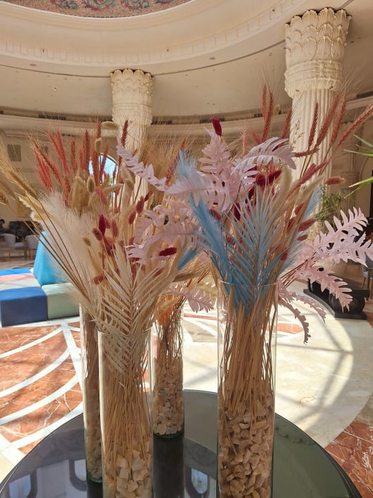 Sonstiges Sentido Caribbean World Soma Bay