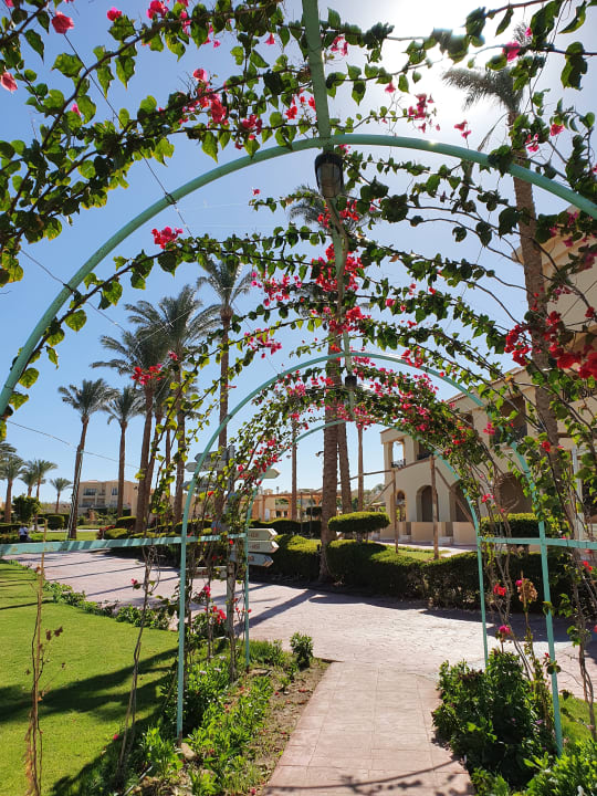 Gartenanlage Cleopatra Luxury Resort Makadi Bay