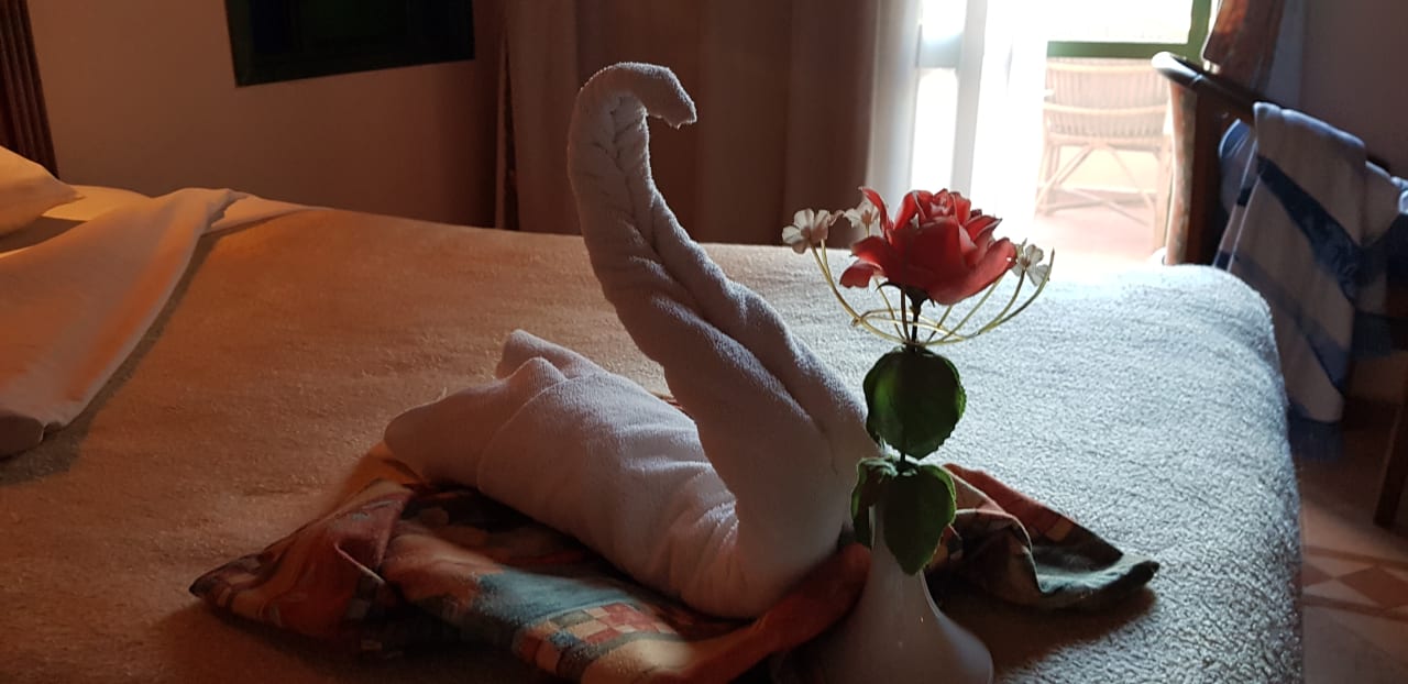 Zimmer Shams Alam Beach Resort