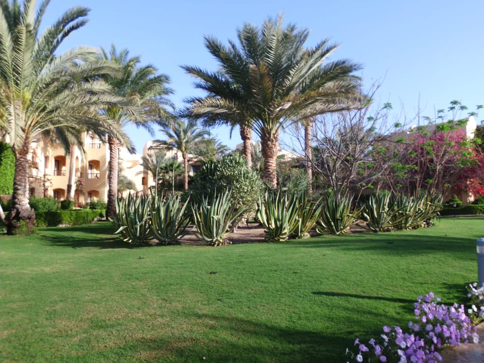 Gartenanlage Steigenberger Coraya Beach - Adults only