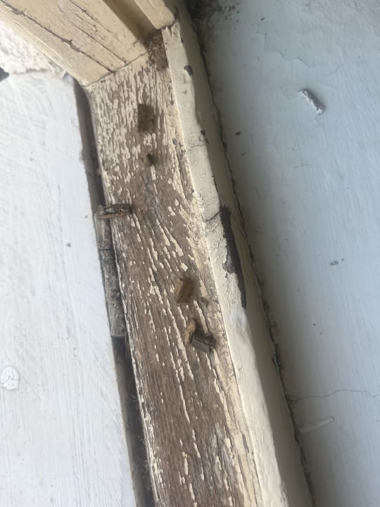 Zimmer Club Hotel Anjeliq