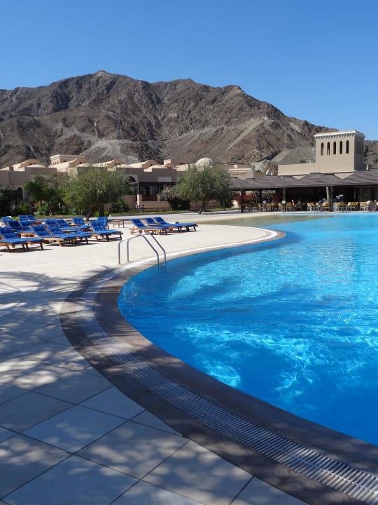 Tolle Aussicht am Pool Miramar Al Aqah Beach Resort