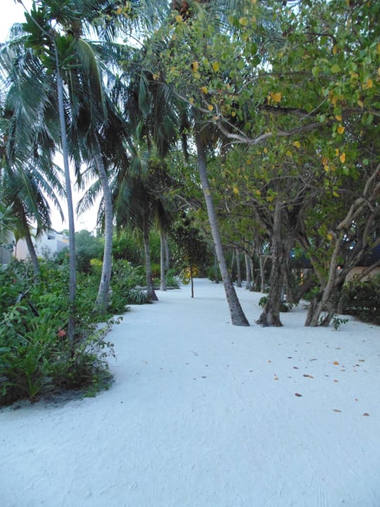 Weg zur Villa Summer Island Maldives