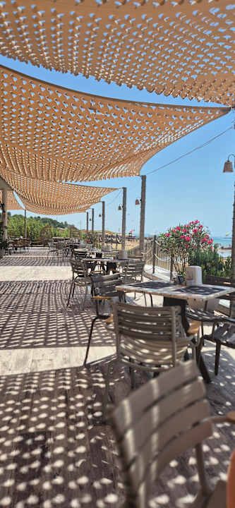 Strand Seashell Vega