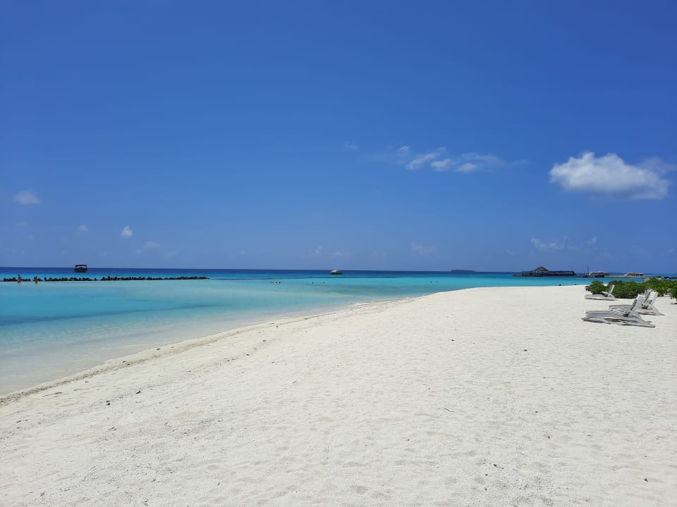 Strand Summer Island Maldives