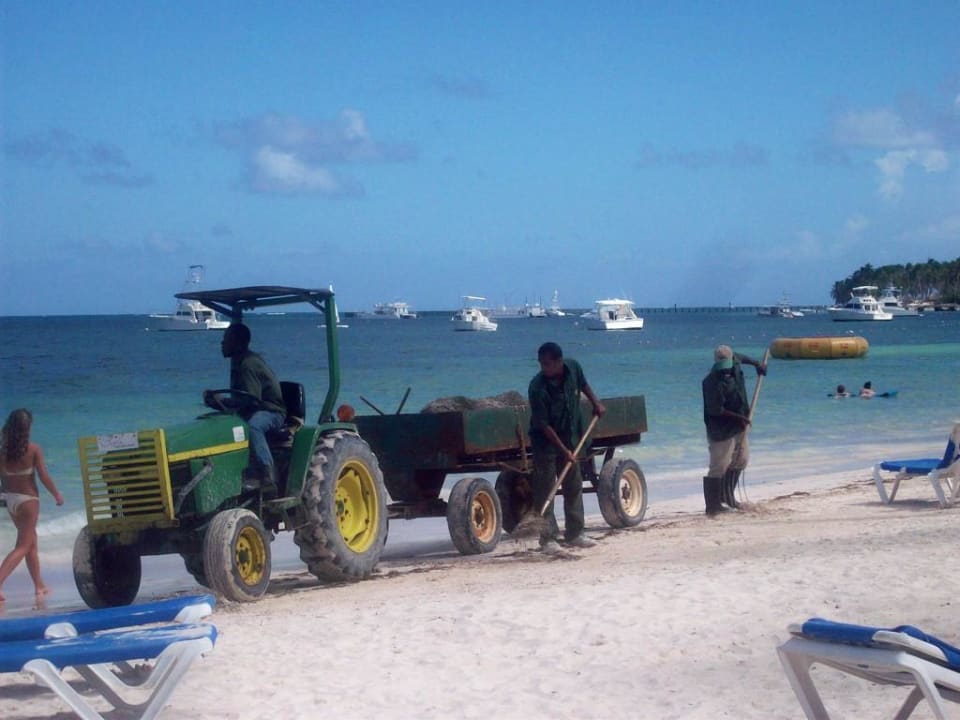 Seegrasvernichter Jewel Palm Beach