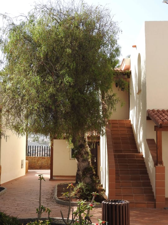 Rundgang durch die Hotelanlage Barceló Fuerteventura Castillo