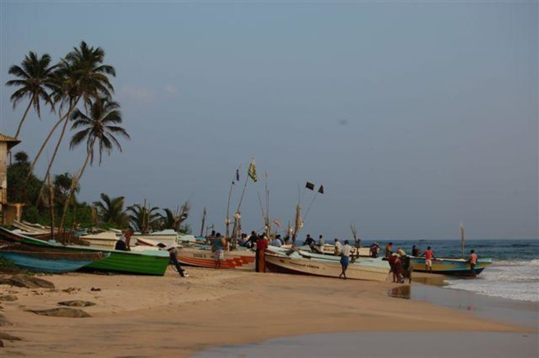 Fischerboote laufen aus South Beach Resort