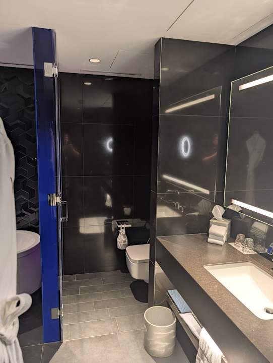 Zimmer W Dubai - The Palm