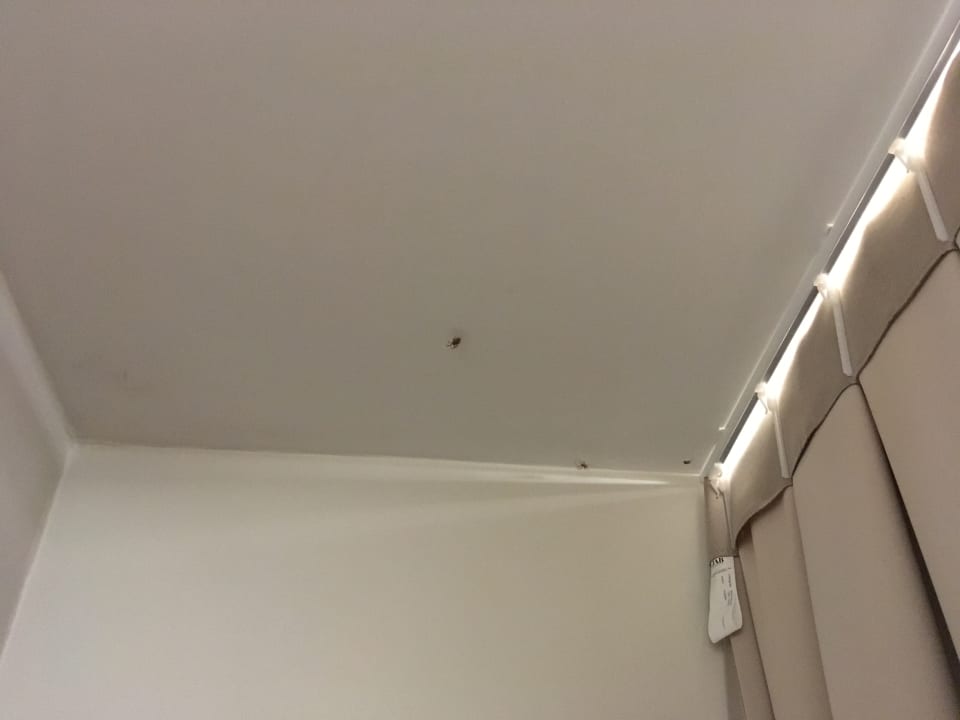 Zimmer Villa Contessa