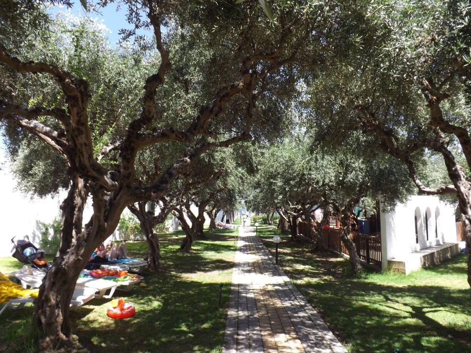 Hotel Alex Beach TUI KIDS CLUB Alex Beach