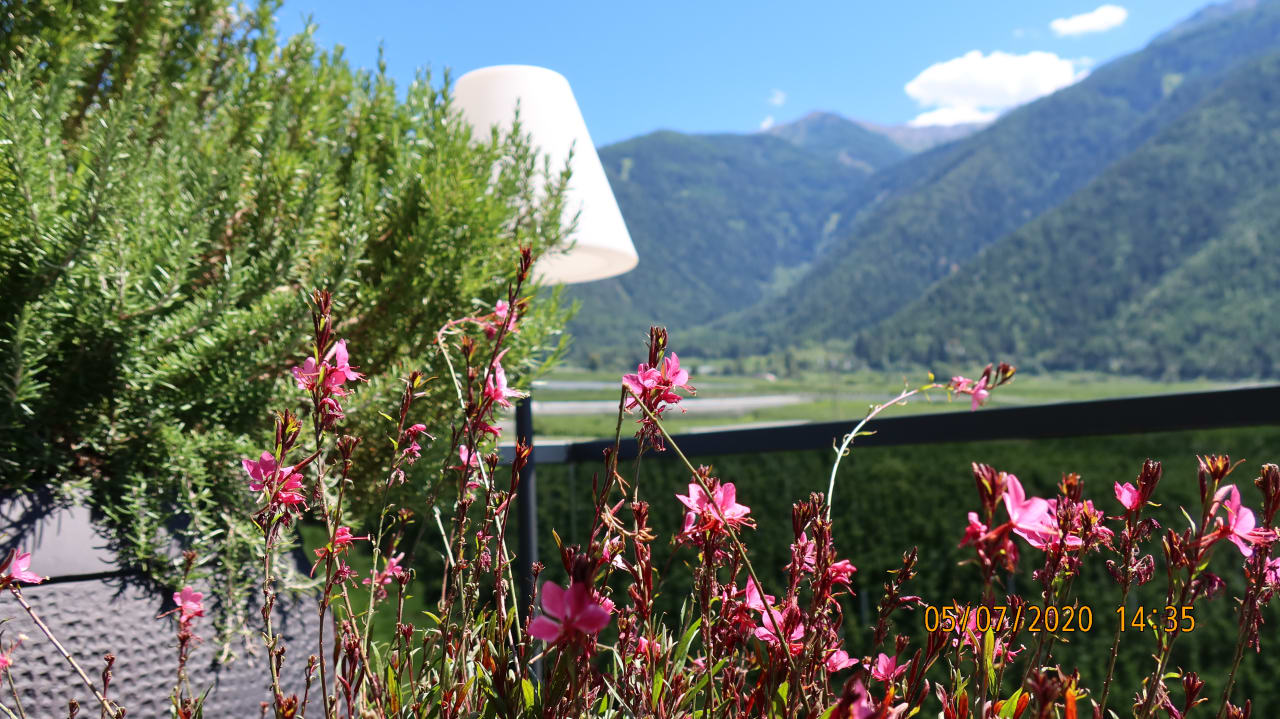 Ausblick Dolce Vita Hotel Jagdhof