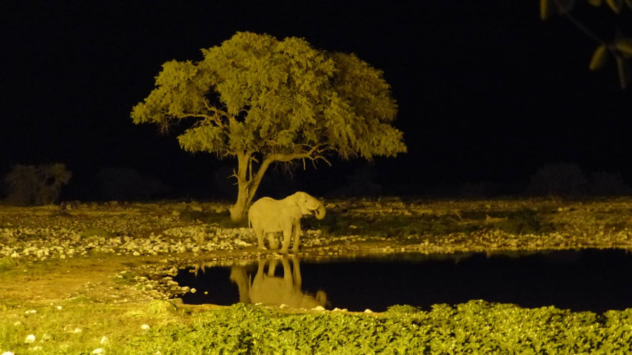 Ein Eli Okaukuejo Camp