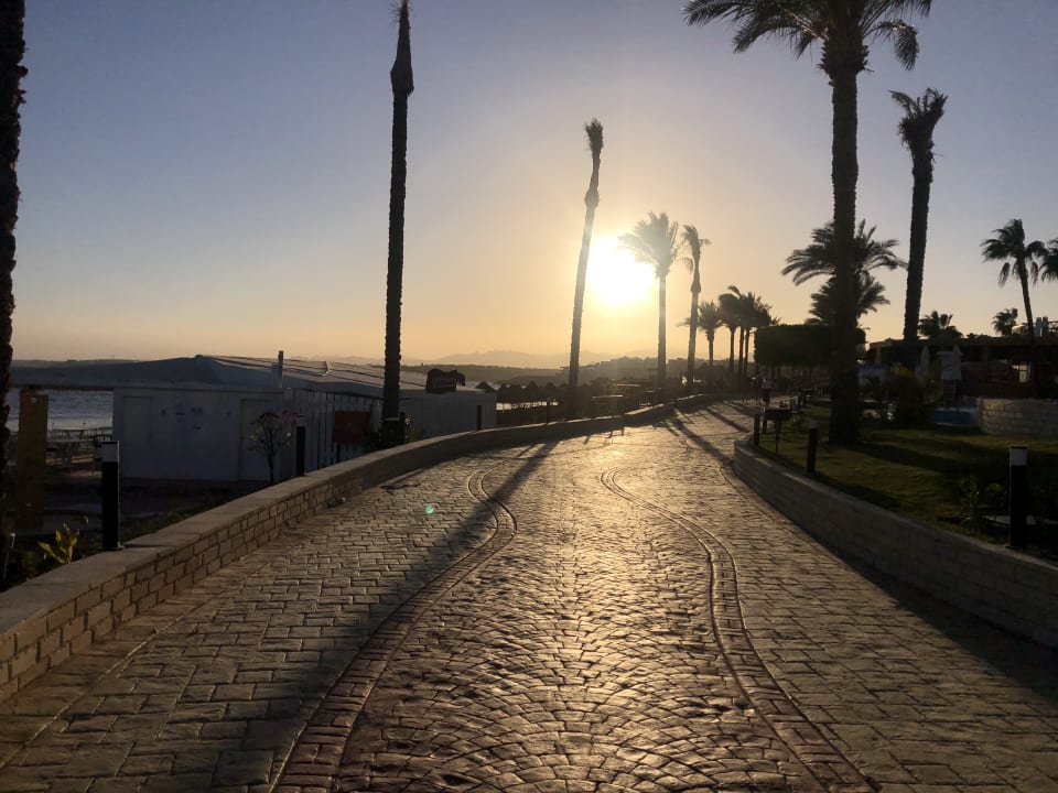 Strand Pickalbatros Palace Resort