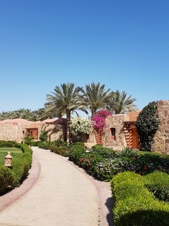Garten Swisstouch Oriental Resort Marsa Alam