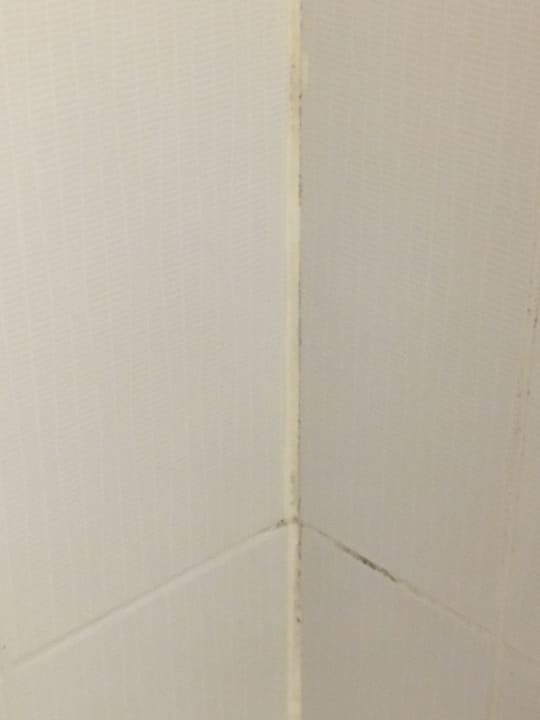 Zimmer Kamelya Aishen Club