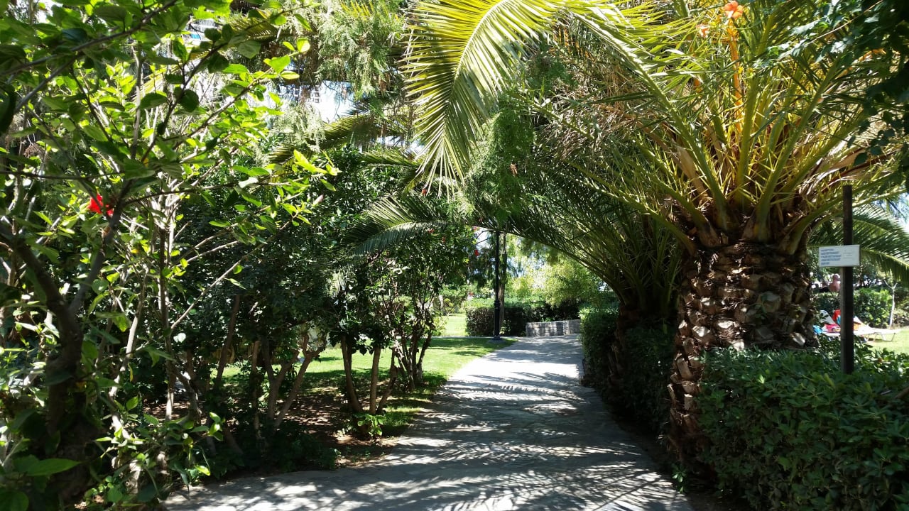Garten Apollonia Beach Resort & Spa