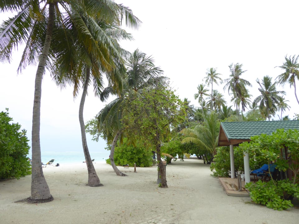 Gartenanlage Meeru Maldives Resort Island