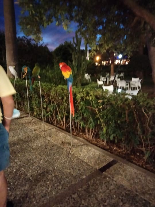 Gartenanlage Hotel Vibra Beverly Playa