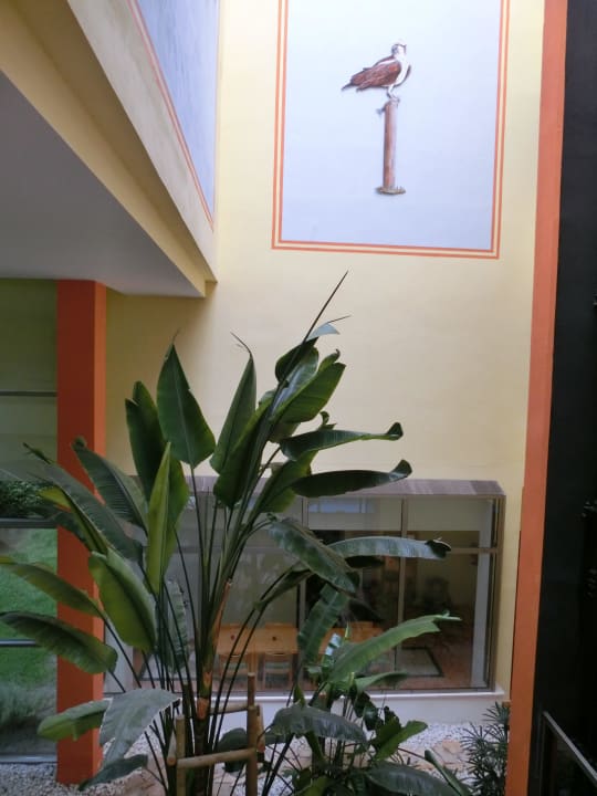 Lobby..zum Kids Club/Schwimmbad Grupotel Natura Playa