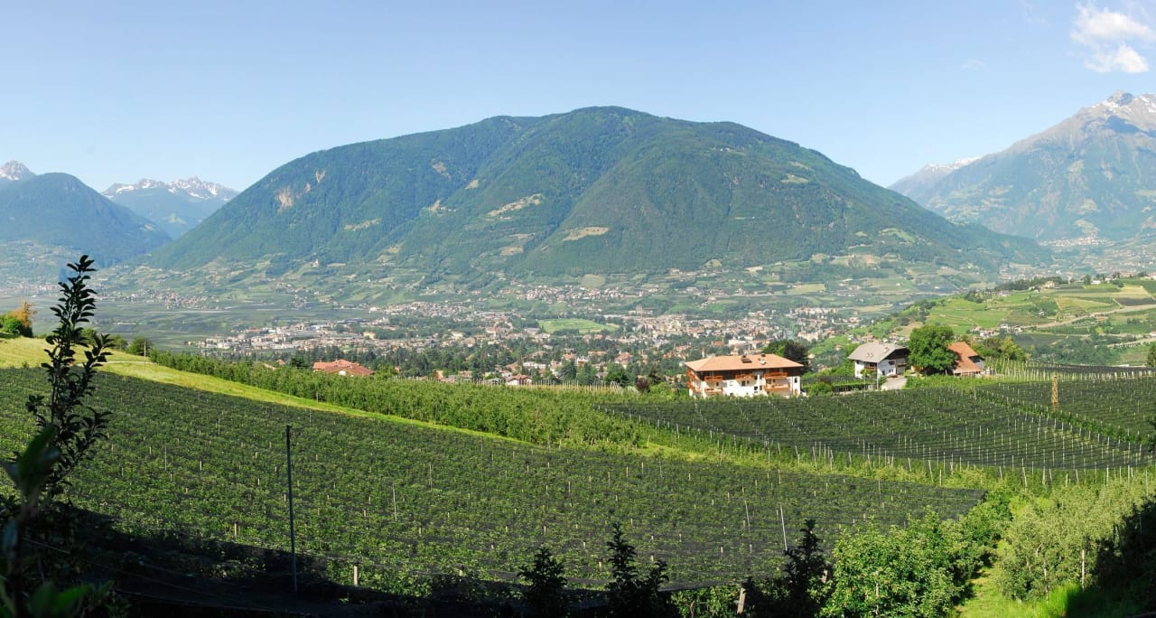 Einzigartige Lage Hotel Garni - Appartements Feldhof