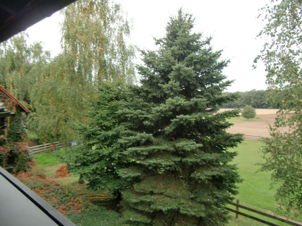 Blick vom Balkon Hotel Hof Weidelbach
