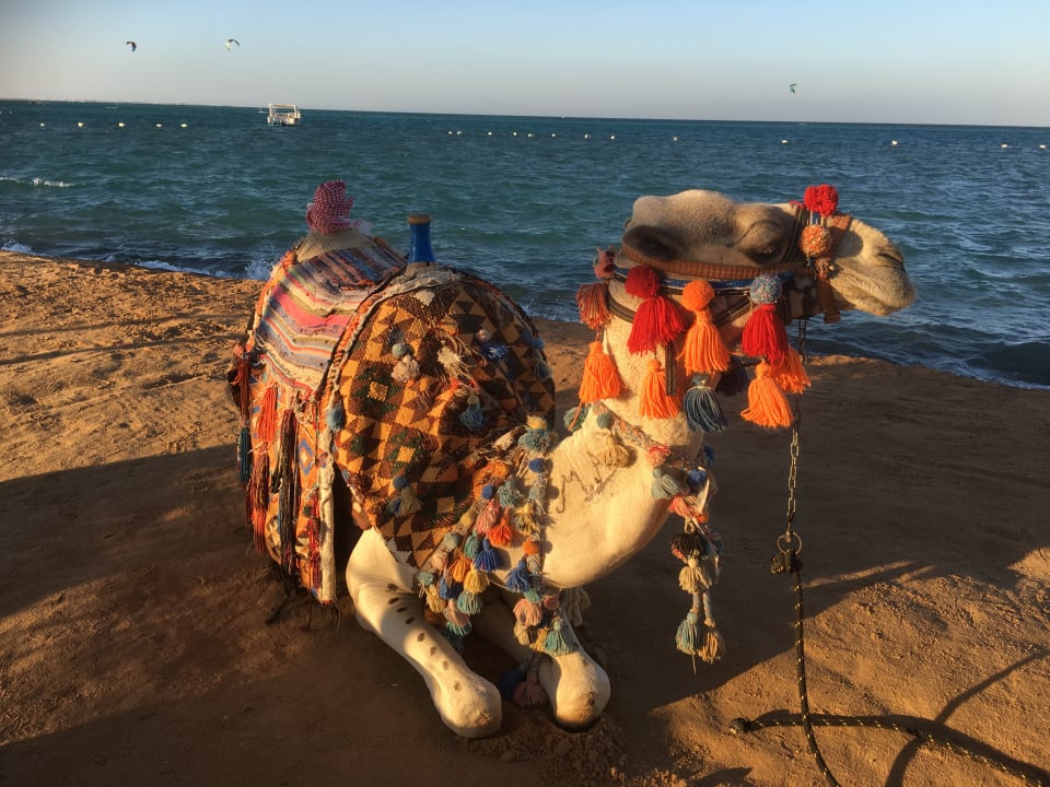 Strand Riviera Aqua Park Resort