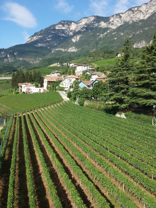 Ausblick Gasthof Hotel Terzer