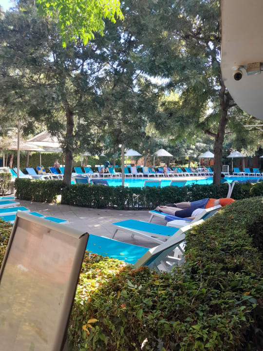 Pool Can Garden Beach