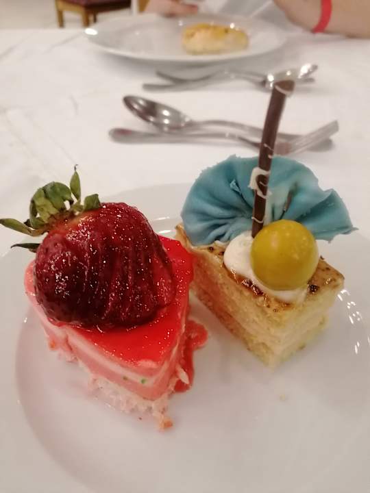 Gastro Serenity Alma Heights
