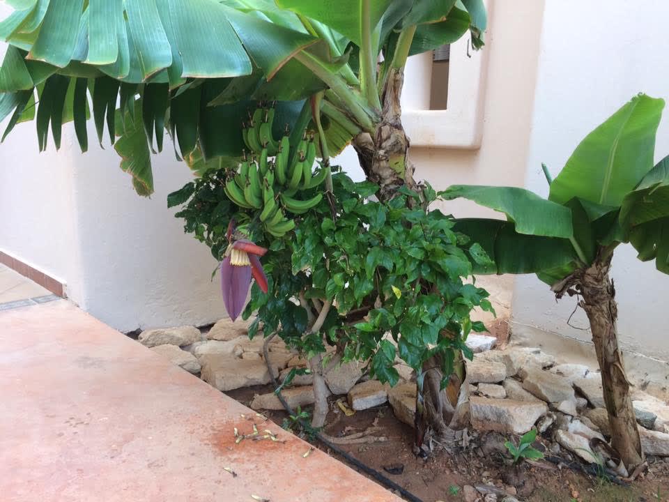 Sonstiges Hotel Riu Touareg