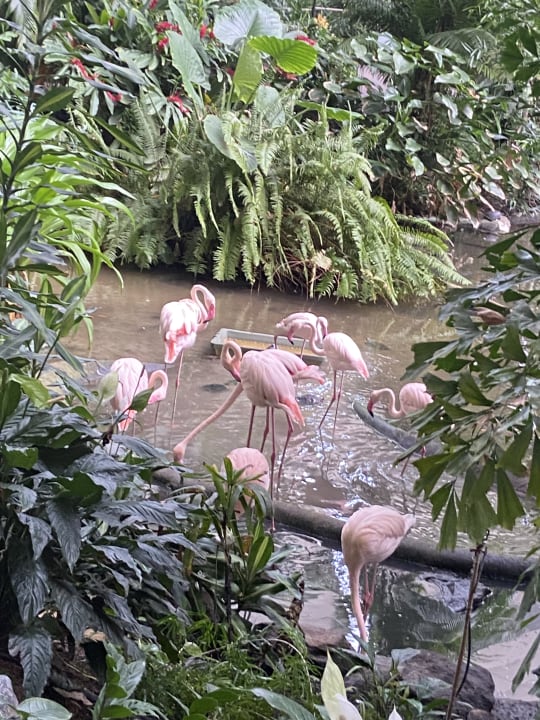 Sonstiges Tropical Islands Resort