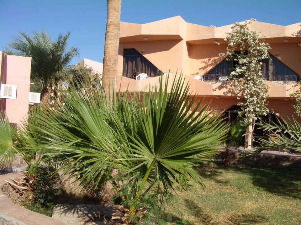 Gartenblick Eagles Paradise Abu Soma