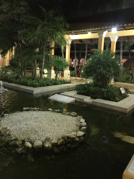 Gartenanlage Iberostar Selection Paraiso Maya Suites