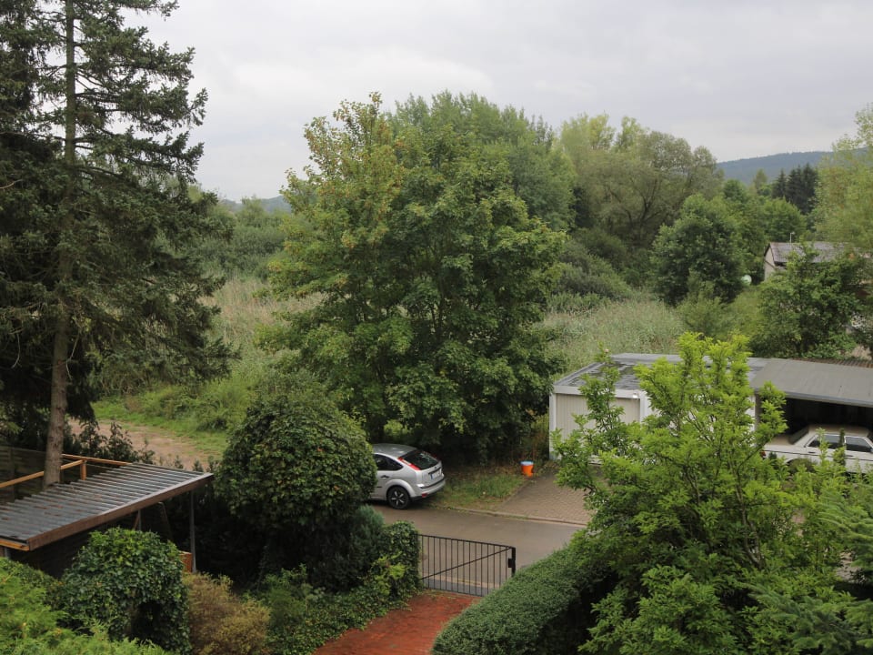 Aussicht auf´s Schilf Pension am Schilf