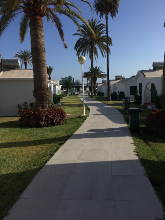 Außenansicht Canary Garden Club