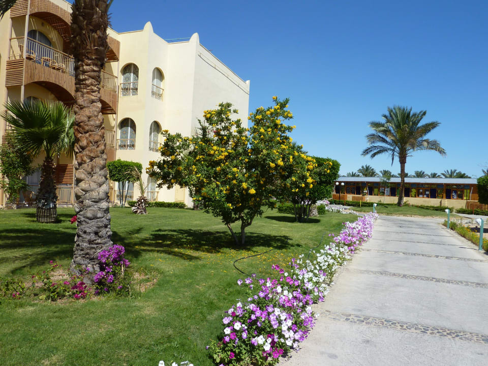 Hotelanlage mit Kinderclub im Hintergrund Desert Rose