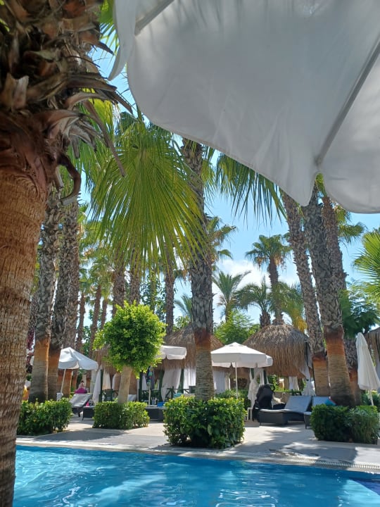Pool Hotel Delphin Palace
