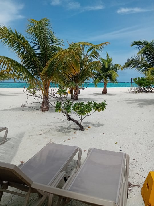 Gartenanlage Adaaran Select Meedhupparu Island Resort - Premium All Inclusive