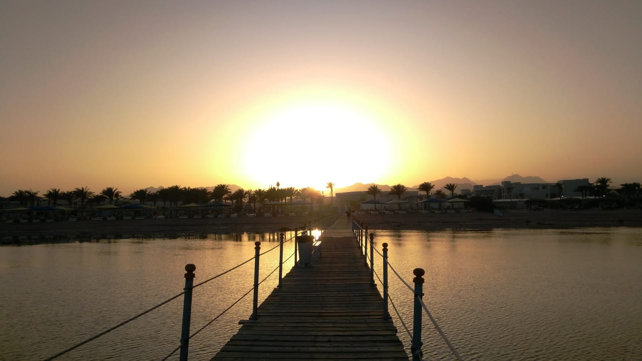 Strand Pickalbatros Royal Moderna Resort-Sharm El Sheikh
