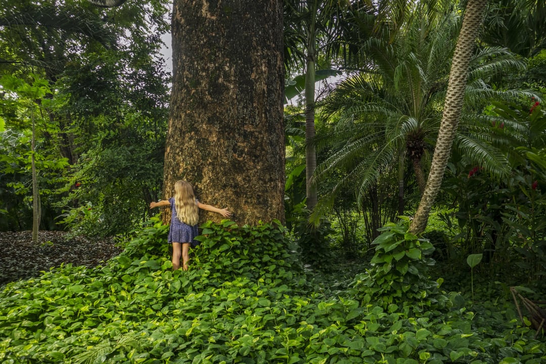 Gartenanlage Capitán Suizo Beachfront Boutique Hotel