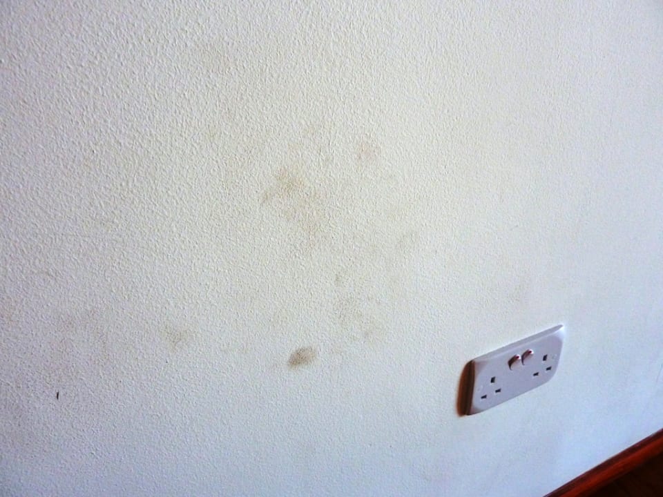 Neu gebaut und dann gepflegt Kudafushi Resort & Spa